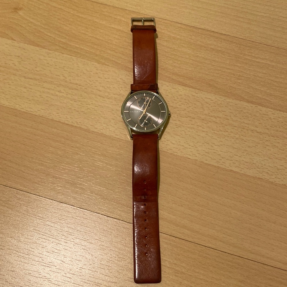 Skagen Men’s Watch